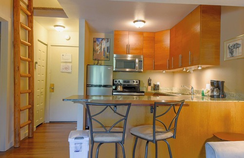 Ketchum Condo | Wildwood Studio 52 - Ideal Home Away From Home for Singles