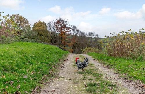 High Peak House | Willow Cottage At Naze Farm-Uk32760
