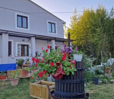 Capannori Bed & Breakfast | Wine House