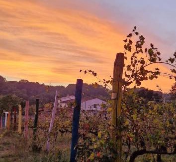 Capannori Bed & Breakfast | Wine House