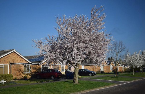 Oakham Bed & Breakfast | Wings