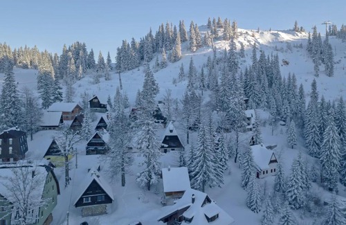 Jahorina Ski Chalet | Winter chalet Anzulovic