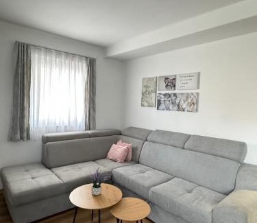 Babanovac Apartment | Winter Nights Vlasic
