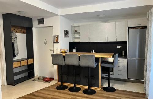 Babanovac Apartment | Winter Nights Vlasic