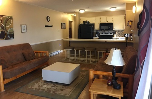 Ghent Apartment | Winterplace Condo D301