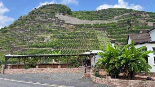 Walporzheim Hotel | Winzerschenke