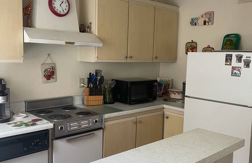 Borrego Springs Condo | With EV charger -Mid Century Modern Close to Hiking, Golf,&Stargaze on the patio