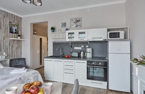 Marianske Lazne Apartment | WITH LOVE Marienbad Ap. Dvorakova