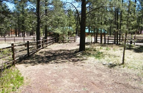 Greer Cabin | With2Beez Rustic Forest Cabin