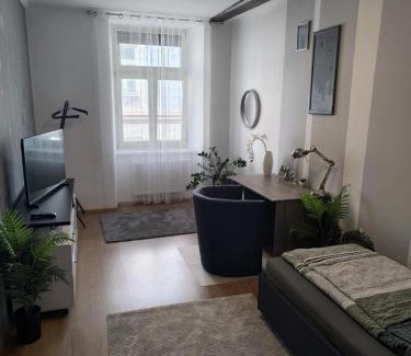 Leoben Apartment | Wohnung in Leoben Zentrum Zwischen Hauptplatz und Stadtpark