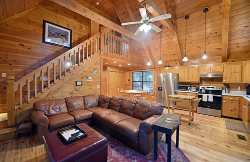 Blue Ridge Cabin | Wolf`s Den Dog-Friendly Family Cabin w/Wood Fireplace, Firepit, Gas Grill, Private Hot Tub