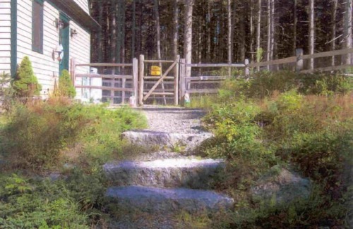 Stonington Cottage | Wolfhound Cottage, Dogs Welcome!