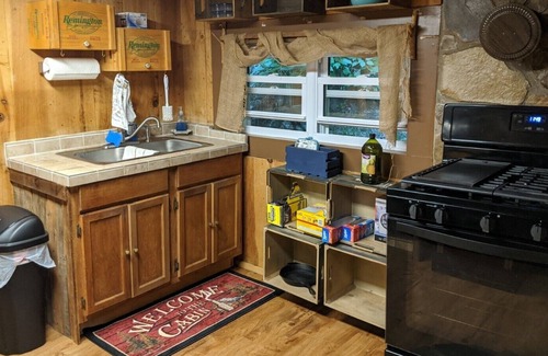 Sylva House | Woodard Cabin in Sylva