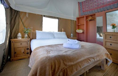 Saint Blazey House | Woodcock - Kittisford Barton