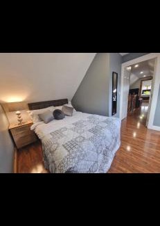 Londonderry Apartment | Woodland lodge, apartment