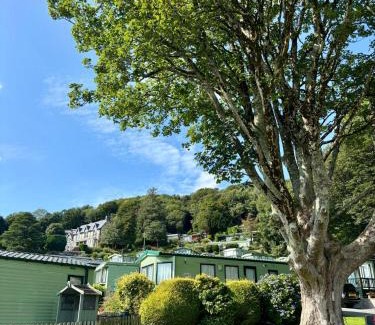 Bryn-crug Other | Woodlands retreat A38