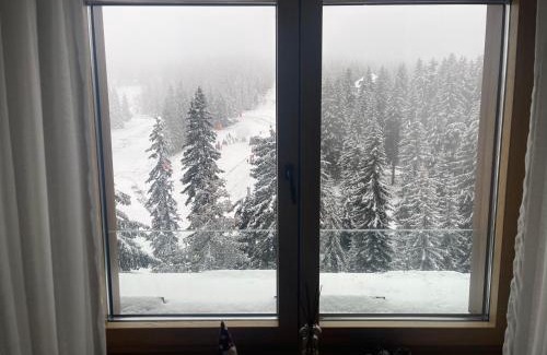 Kopaonik Apartment | Woodside Duplex Apartment Ski in Ski out with garage