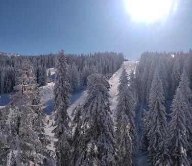 Kopaonik Apartment | Woodside free parking