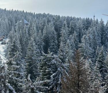 Kopaonik Apartment | Woodside Lux Duplex