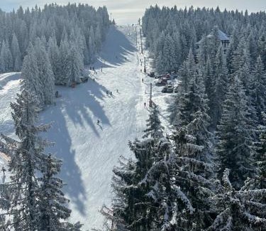 Kopaonik Apartment | Woodside Lux Duplex