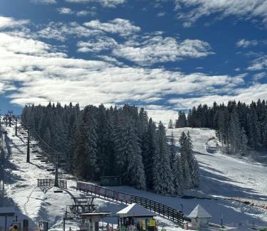 Kopaonik Apartment | Woodside Lux Duplex