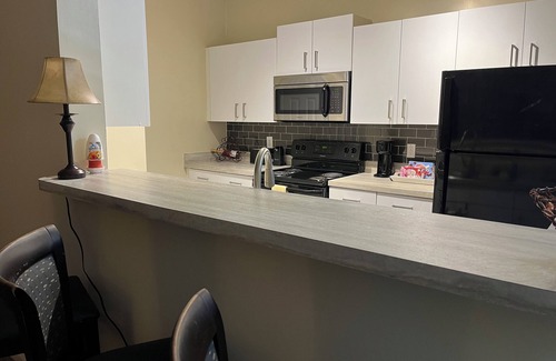Atlanta Apartment | Work or Fun, Walk to Mercedes Benz Stadium, World Congress Center & Attractions