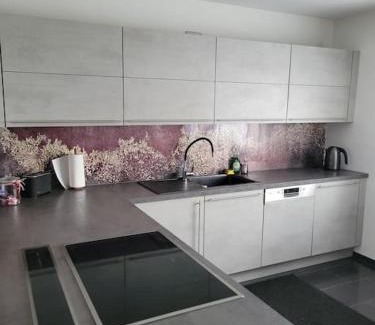Runkel Apartment | Wunderschöner Ausblick