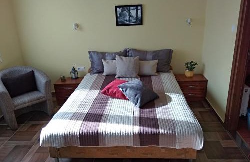 Bukfurdo Apartment | Yellow Apartmanház