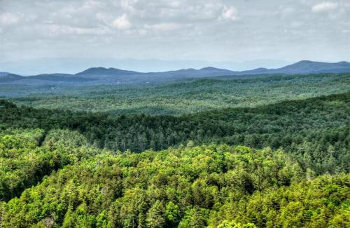 Raccoon Ridge House | Yogi's Retreat