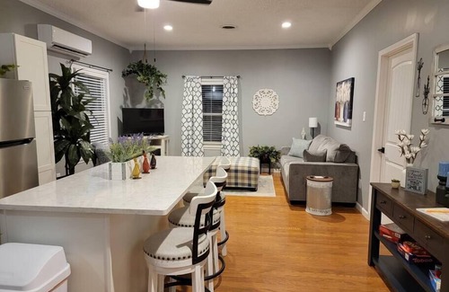 Dandridge Apartment | You'll be so happy, you'll want to "Just Dance"