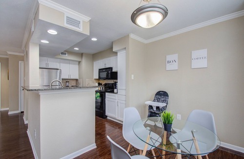 Astrodome Apartment | Your Hidden Oasis in Texas Medical Center