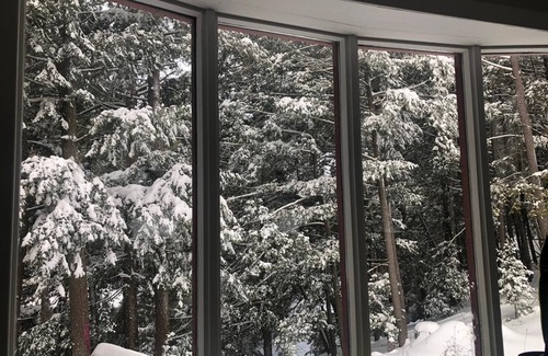 Norland Cottage | Your Holiday Getaway in Ontario - Pool Table, Firepit, Gull River