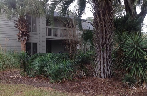 Palmetto Dunes Villa | Your Home Away from Home -5 STAR reviews. Minutes to Palmetto Dunes amenities