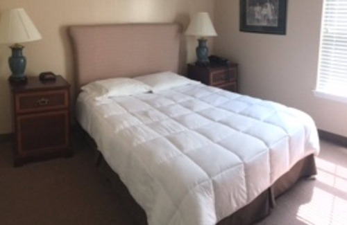 Springfield Apartment | Your Home Away From Home