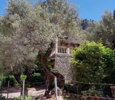 Escorca House | YourHouse Cas Sito