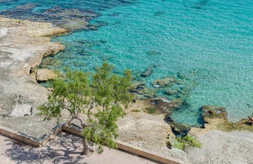 Son Baulo Apartment | YourHouse Ocean