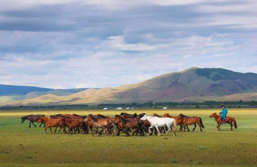 Arhangay Other | Yurt camp at the heart of Mongolia Experience virgin wild nature