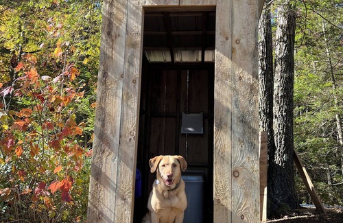 Hinsdale RV Rental | Yurt Oasis in the woods of Hinsdale, NH