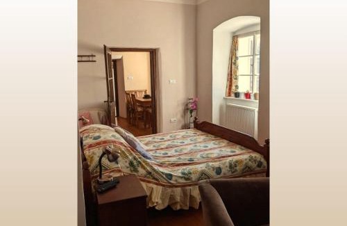 Branickov Apartment | zámek Nemilkov