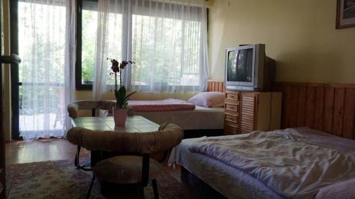 Siofok Aranypart Apartment | Zöldellő Apartmanház