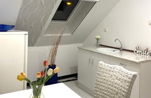 Hajduszoboszlo Apartment | Zajer Apartment Ház