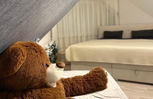 Hajduszoboszlo Apartment | Zajer Apartment Ház