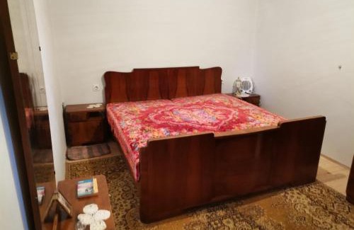 Stara Planina House | Zavojsko jezero Pirot - smestaj Manic