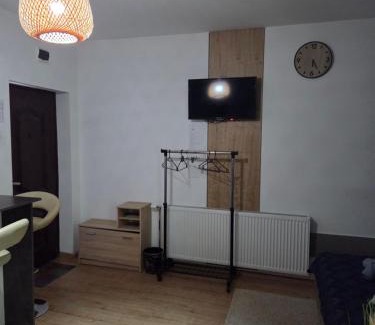 Zrenjanin Apartment | Zen 6 deluxe room