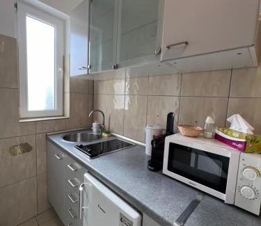 Satu Mare Apartment | Zen Apartment 1