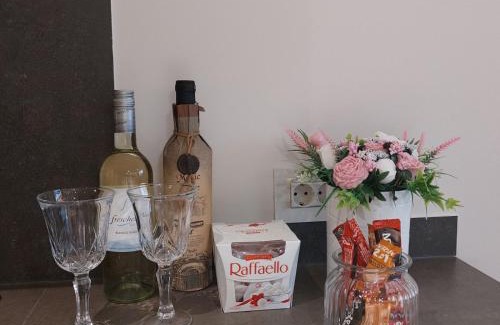 Vrnjacka Banja Apartment | Zepterme Apartman 605