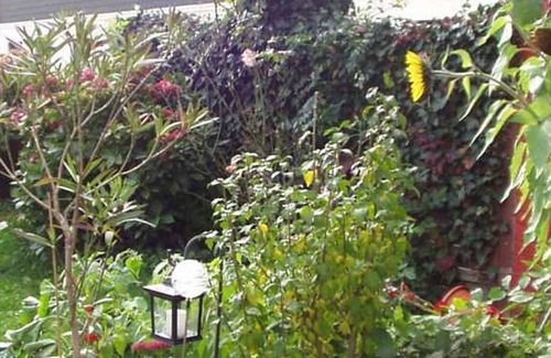 Utersum House | Zim. 1 - Hotel Garni Zur Post