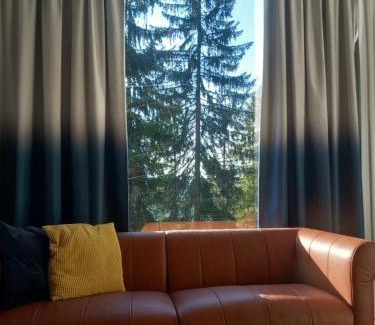Zlatibor Ski Chalet | ZlatAir Twins 2
