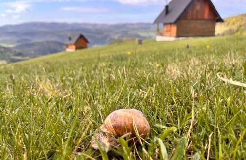 Zlatibor House | Zlatarski raj