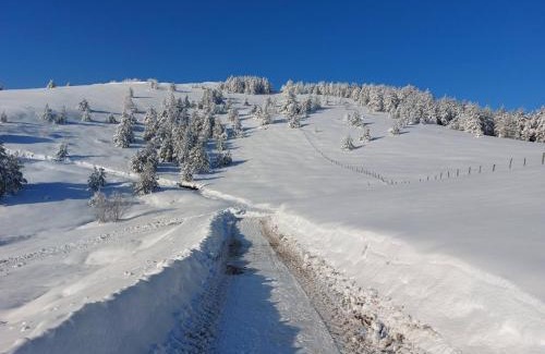 Zlatibor Ski Chalet | Zlatibor Sky Inn